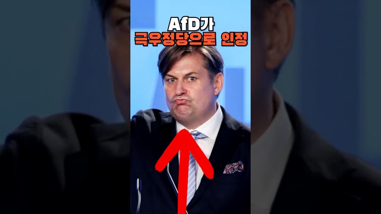 AfD, 공식 극우정당으로 인정