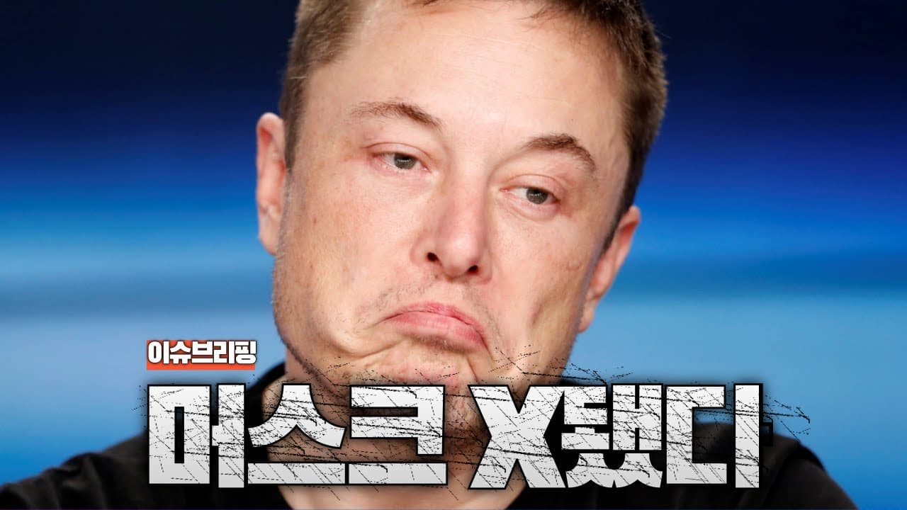 머스크 X됐다... 트럼프와의 전면전, 테슬라는 대폭락
