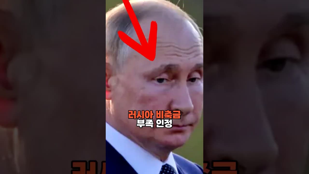 러시아 비축금 부족 인정