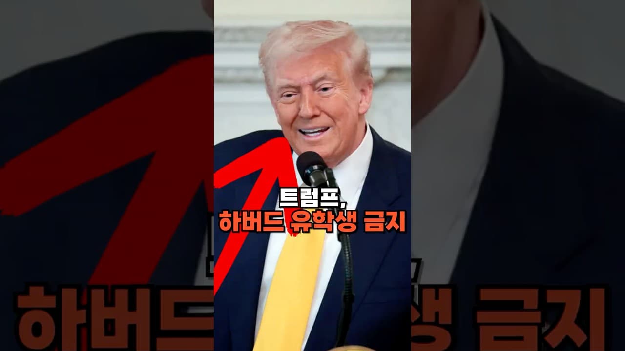 하버드 유학생 전면 금지?! 트럼프가 막아버렸다!