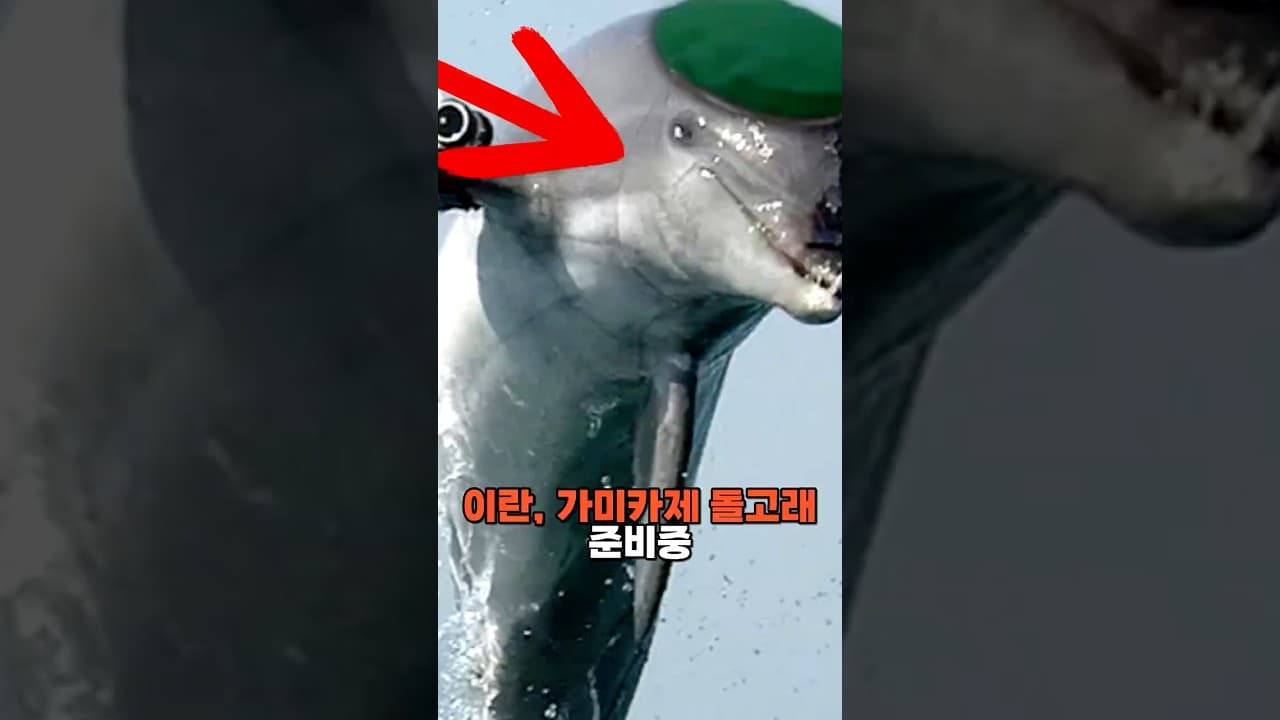 이란, 가미카제 돌고래 준비중