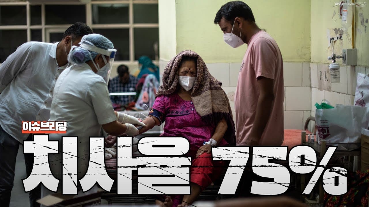 치사율 75% 니파 바이러스 인도서 확산…치료제도 없는데 인도, 동남아 ‘비상’