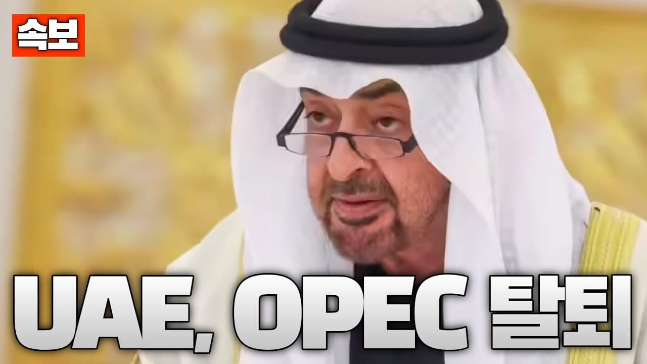 [속보] UAE, OPEC 전격 탈퇴