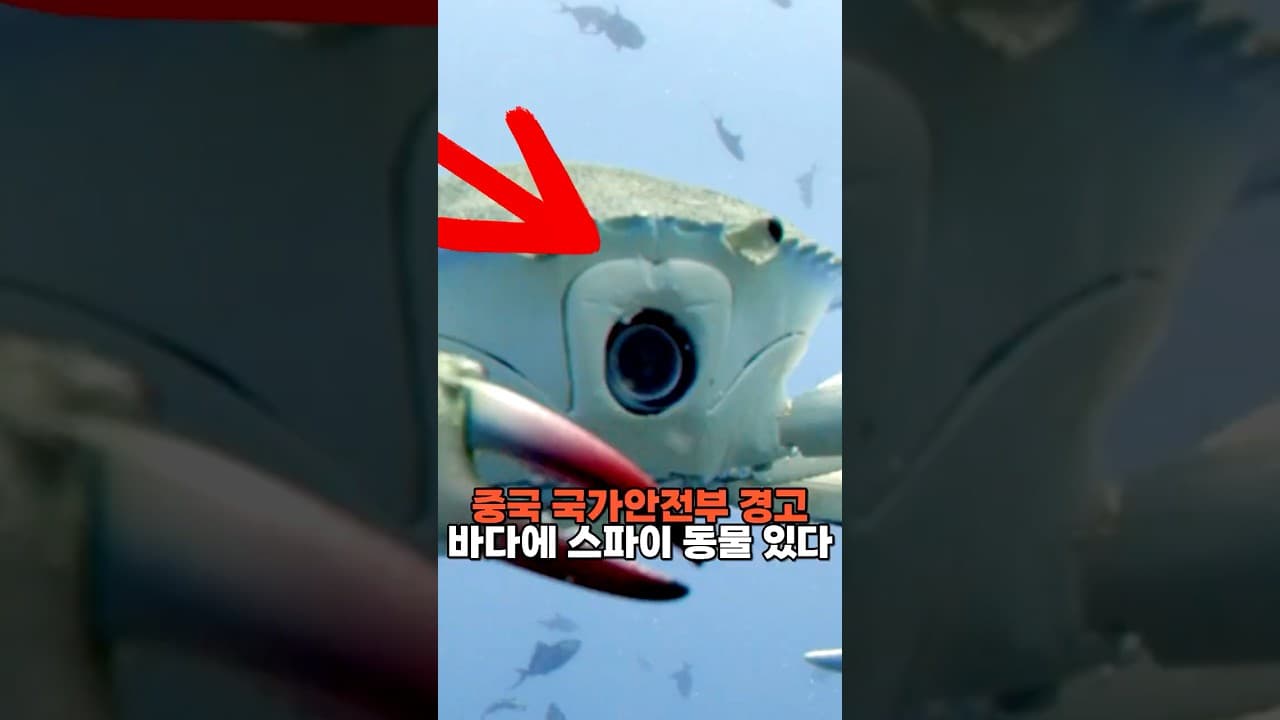 중국 국가안전부 경고...바다에 스파이 동물 있다