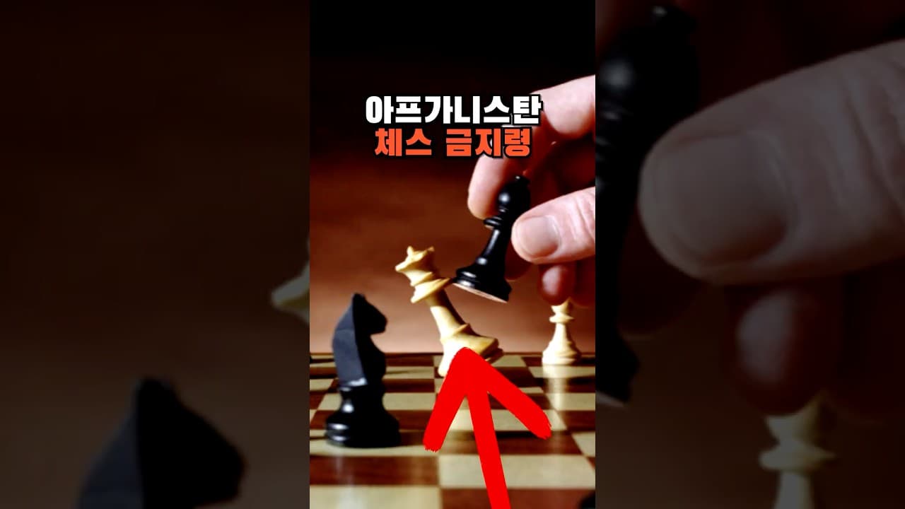 아프가니스탄 체스 금지령 선포