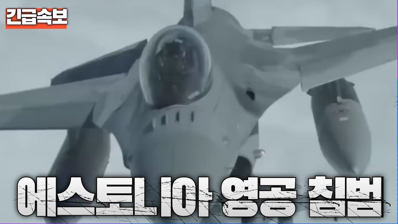 [속보] 러시아 전투기 3대, 에스토니아 수도 방향으로 영공 침범